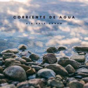 Corriente De Agua: Río Salpicando - Ruido blanco para concentración