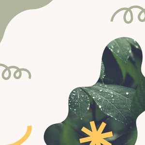 Music for Chilled June Nights - Scintillating Jazz Quintet - Ristorante Jazz Playlist