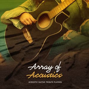 Array of Acoustics - Acoustic Guitar Tribute Players