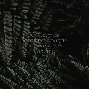 50 Calm & Soothing Sounds for Serenity & Healing - Lucid Dreaming World-Collective Unconscious Mind