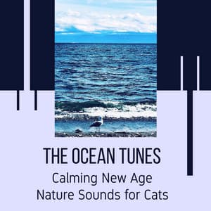 The Ocean Tunes - Calming New Age Nature Sounds for Cats - Ocean Sounds Plus