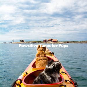 Pawsitive Tunes for Pups - Paris Cafe Jazz