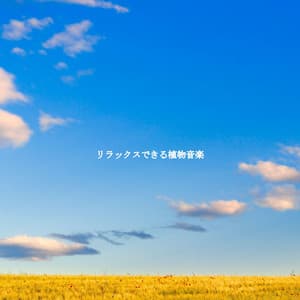 リラックスできる植物音楽 - Cafeteria Musica de lujo