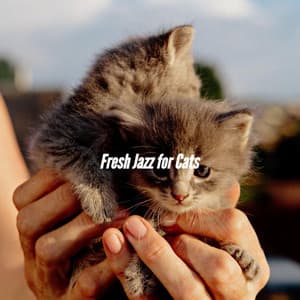 Fresh Jazz for Cats - Deluxe Elevator Music