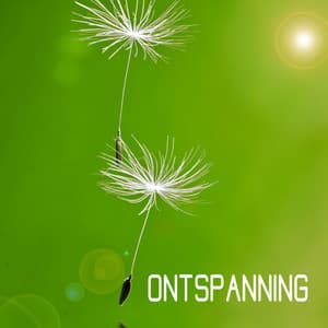 Ontspanning - Ontspanning