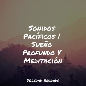 Sonidos Pacíficos | Sueño Profundo Y Meditación - Masajes Spas