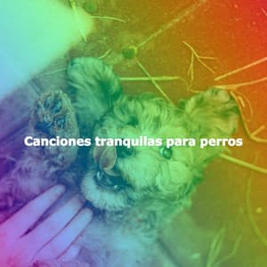 Canciones tranquilas para perros - Jazz for Working Playlists