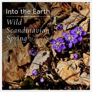 Wild Scandinavian Spring - Into the Earth