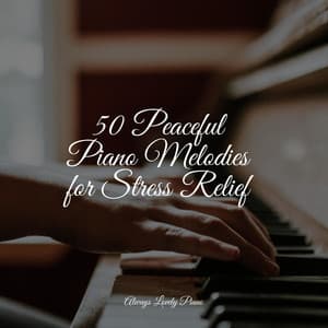 Melodic and Calming Piano Songs - Piano Pianissimo