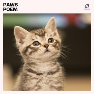 Paws Poem - Dog Sleep Academy