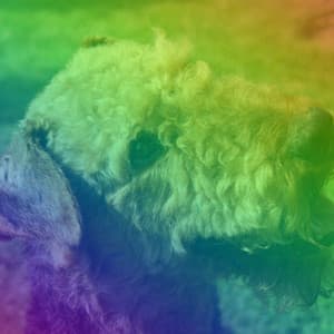 Fiery Jazz Piano Duo - Ambiance for Doggy Anxieties - Jazz Music for Dogs