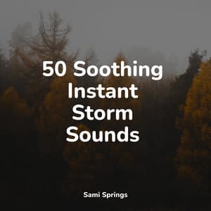 50 Soothing Instant Storm Sounds - Sounds Of Rain & Thunder Storms