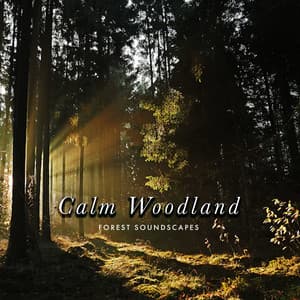 Calm Woodland - Forest Soundscapes