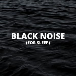 Black Noise - Black Noise Sleep