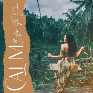 Calm Before The Dawn: Reclaim Your Magick, Receive Positive Vibes Before Rituals, Sleep Well, Enchanting Songs for a Witch - Witchy Lab