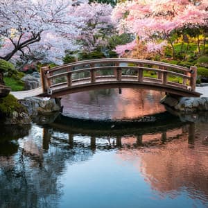 Melodías Lofi Tranquilas: Ritmos Suaves Para Masajes - Musica estetica