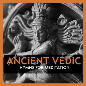 Ancient Vedic Hymns for Introspection - Alan Samhita