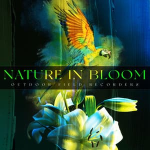 Nature In Bloom - Outdoor Field Recorders