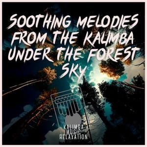 Soothing Melodies from the Kalimba under the Forest Sky - Kalimba Music Relaxation