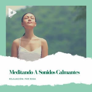 Meditando a Sonidos Calmantes - Relajación: Por Rosa