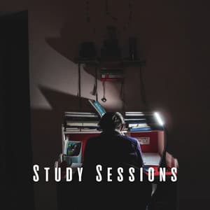 Study Sessions: Calming Lofi Soundscape - Chill Hop Lofi Study Beats
