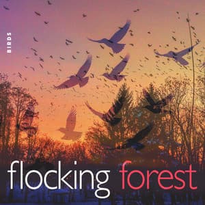 Flocking Forest - Birds