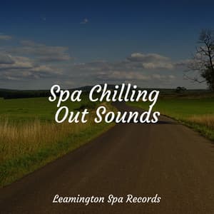 Spa Chilling Out Sounds - White Noise Babies