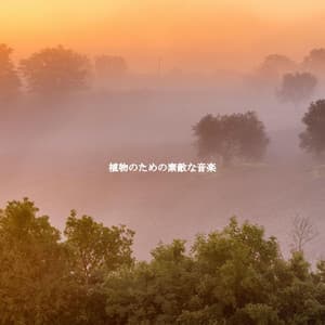 植物のための素敵な音楽 - Smooth Jazz Sax Instrumental