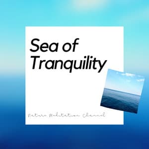 Sea of Tranquility: Shamanic Melodies - Nature Meditation Channel