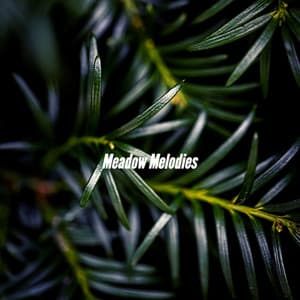 Meadow Melodies - Super Jazz Cafe Music