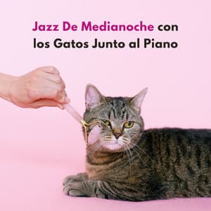 Jazz De Medianoche Con Los Gatos Junto Al Piano - Los gatos del jazz