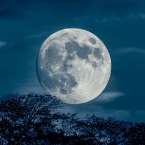 Noche En Calma: Melodías Suaves Para Un Sueño Reparador - Nubes soñolientas