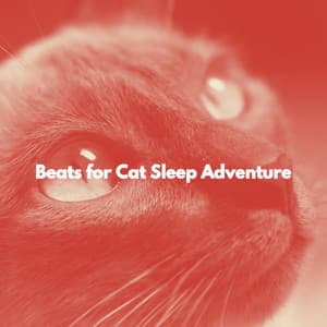 Beats for Cat Sleep Adventure - Jazz & Study Ambience