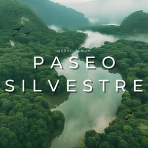 Paseo Silvestre - Sonidos de la Naturaleza Relax