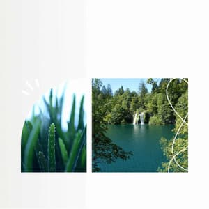 Background Music for Positive Mindsets - Peaceful Autumn Instrumental Jazz