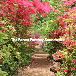 The Forest Fantasy Soundtrack - New York City Cafe Songs