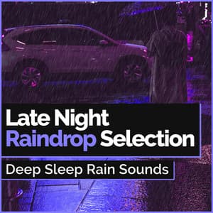Late Night Raindrop Selection - Deep Sleep Rain Sounds