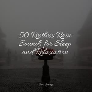 50 Restless Rain Sounds for Sleep and Relaxation - 125 Nature Sounds