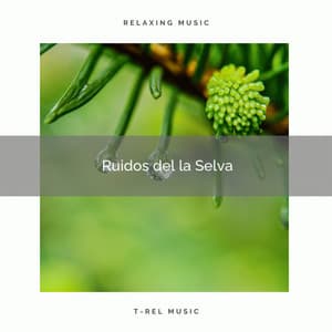 1 Ruidos de la Selva - Sonidos de la Naturaleza para Dormir