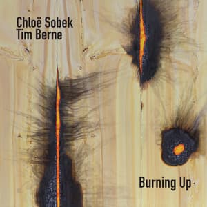 Burning Up - Chloë Sobek