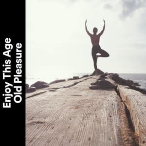 Enjoy This Age Old Pleasure - Japanese Relaxation and Meditation