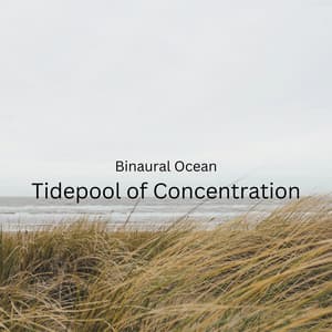 Binaural Ocean: Tidepool of Concentration - Binaural Beats Solitude