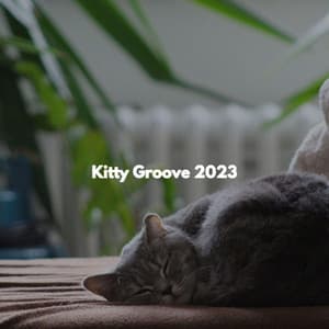 Kitty Groove 2023 - Office Background Music Playlists