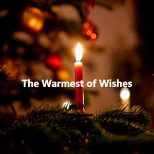 The Warmest of Wishes - Shopping Music