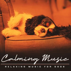 Calming Music - Relaxing Music for Dogs