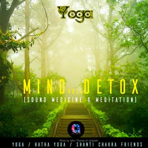 Mind Detox , Vol.4 - Hatha Yoga