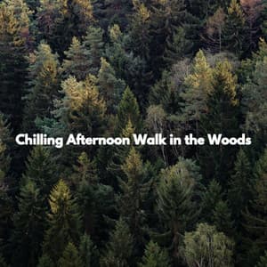 Chilling Afternoon Walk in the Woods - Easy Jazz Music