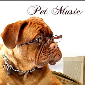 Pet Music: Songs for Dogs and Cats, Pet Therapy Relaxation - Pet Music World