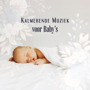 Kalmerende Muziek voor Baby's: Rustgevende Muziek voor Verlichting van Slapeloosheid, REM Slaap - Sleepy Baby Princess Music Academy