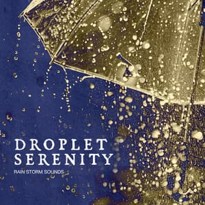 Droplet Serenity - Rain Storm Sounds